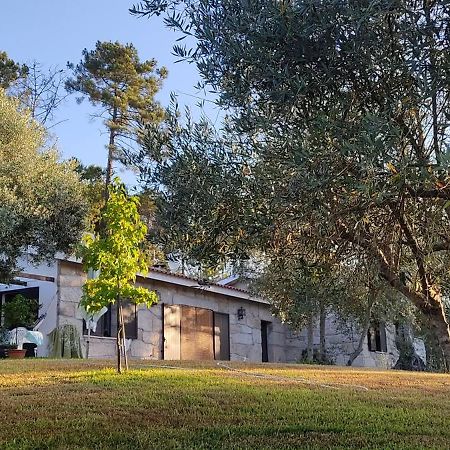 Quinta Da Pedra Mija Guest House Santar Exterior photo