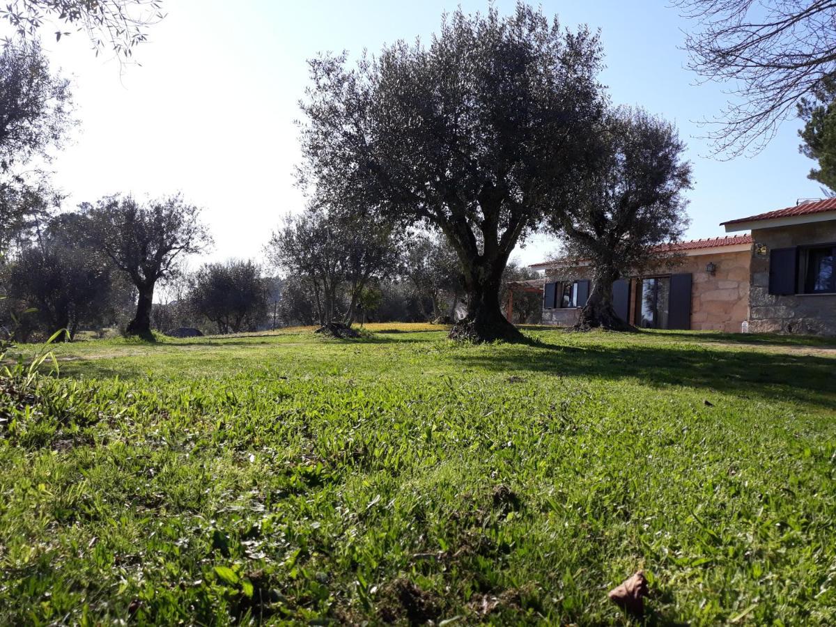 Quinta Da Pedra Mija Guest House Santar Exterior photo