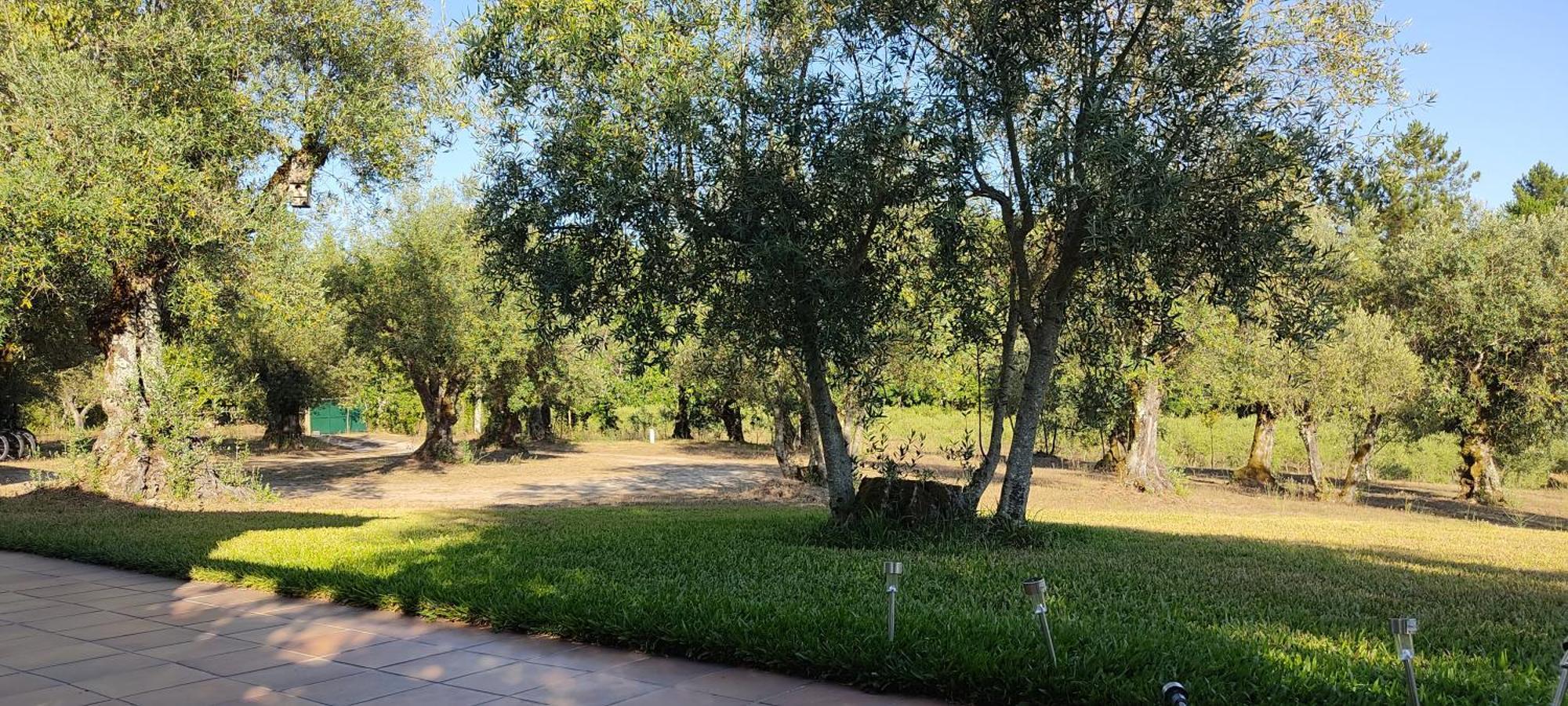 Quinta Da Pedra Mija Guest House Santar Exterior photo