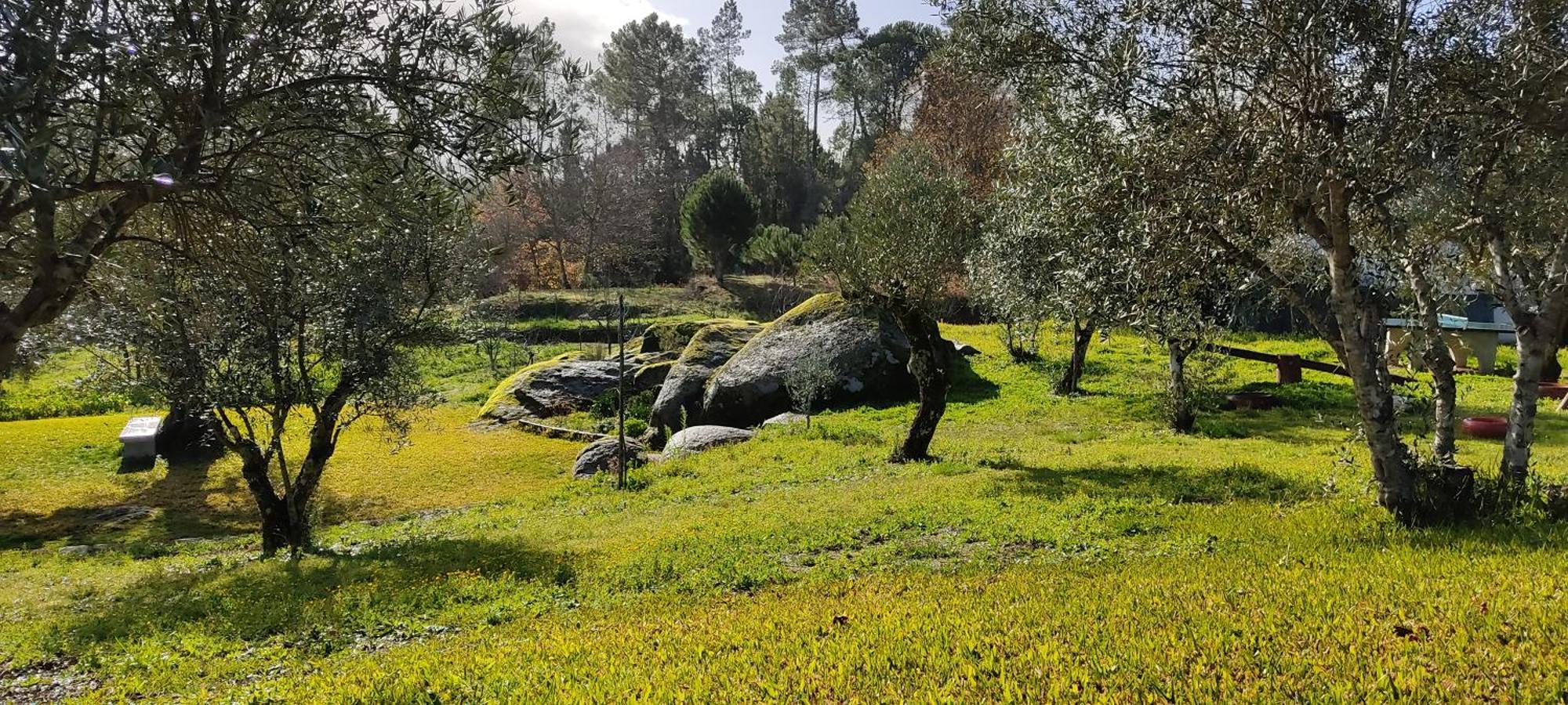 Quinta Da Pedra Mija Guest House Santar Exterior photo