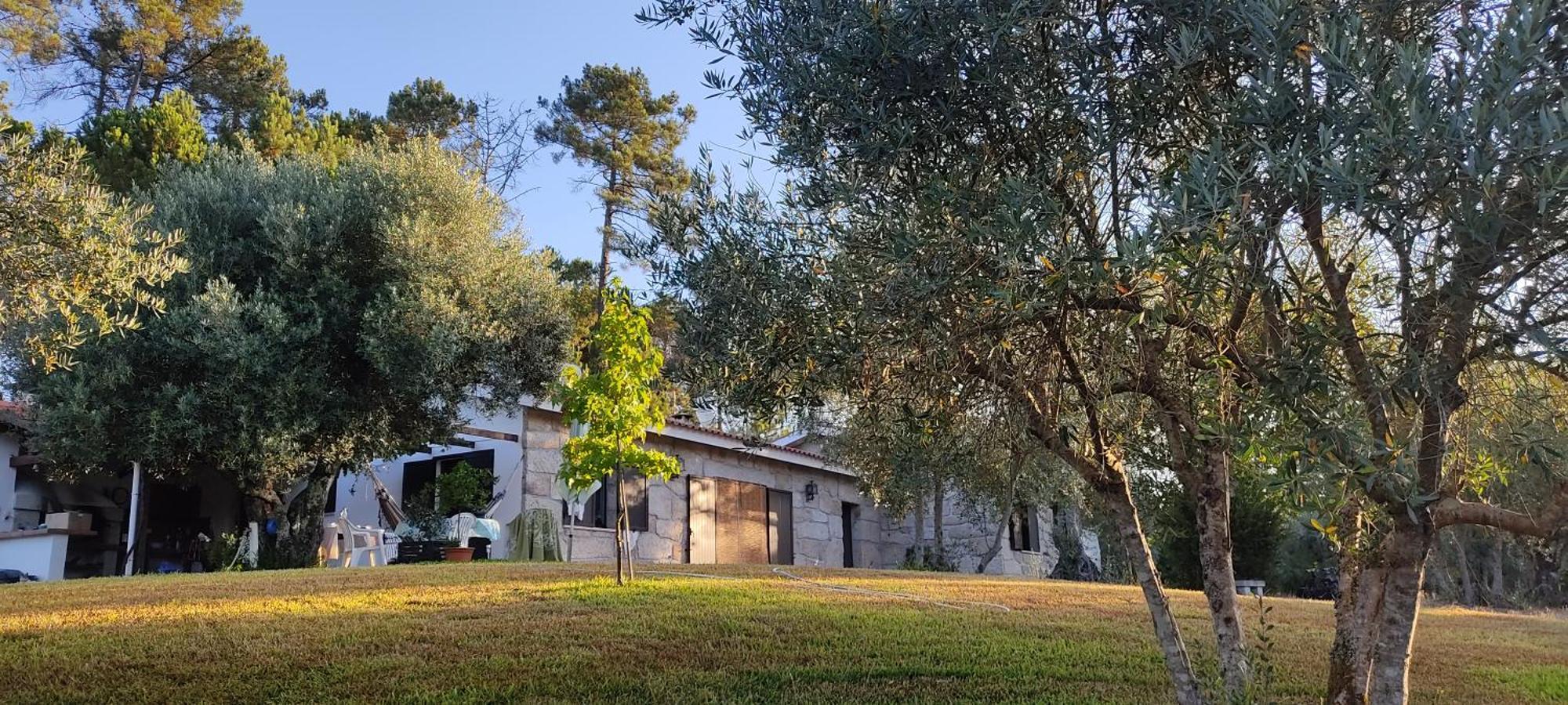 Quinta Da Pedra Mija Guest House Santar Exterior photo