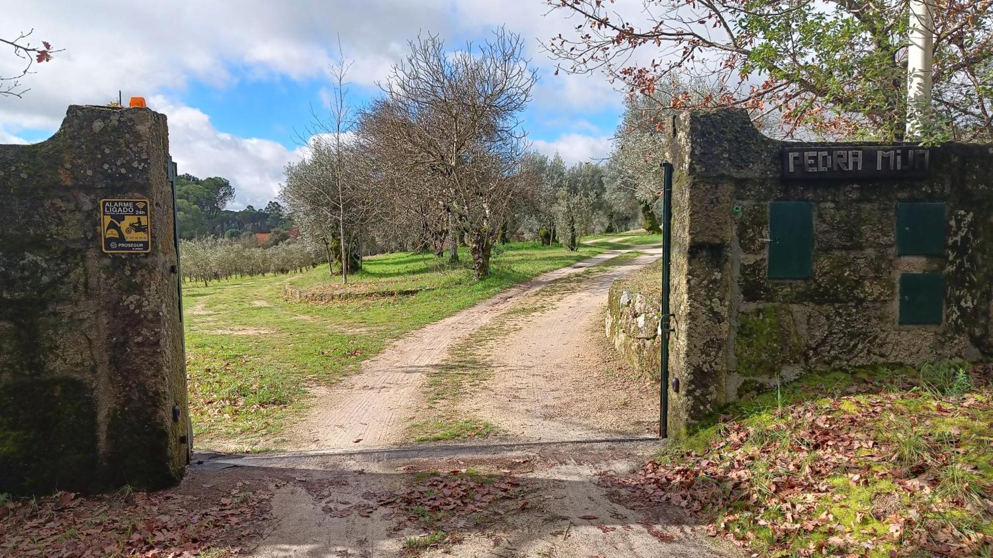 Quinta Da Pedra Mija Guest House Santar Exterior photo