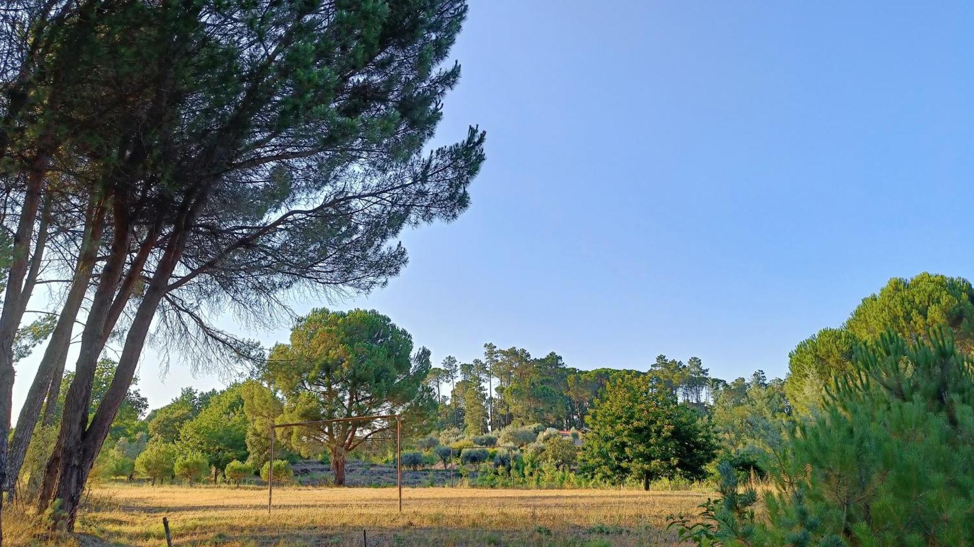 Quinta Da Pedra Mija Guest House Santar Exterior photo