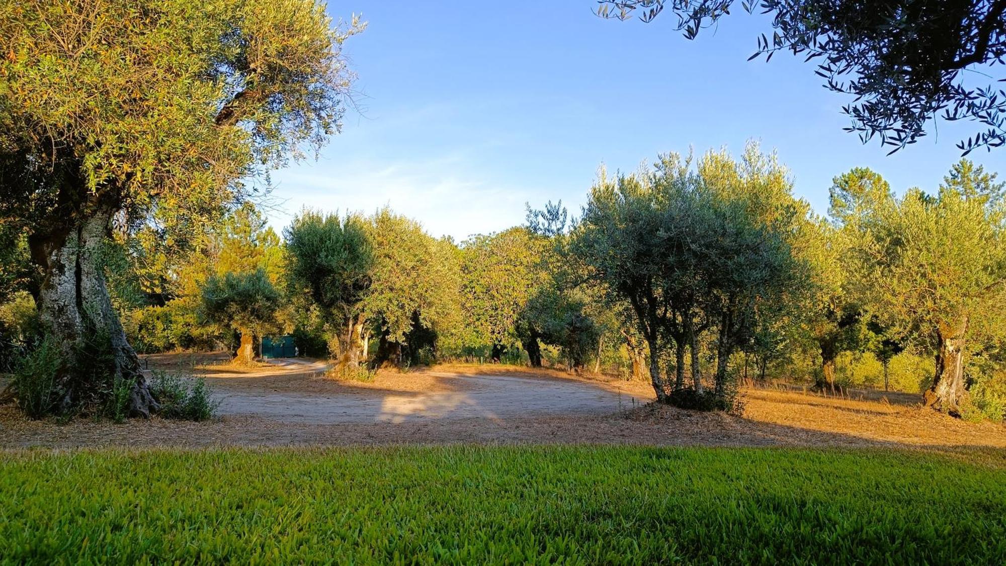 Quinta Da Pedra Mija Guest House Santar Exterior photo