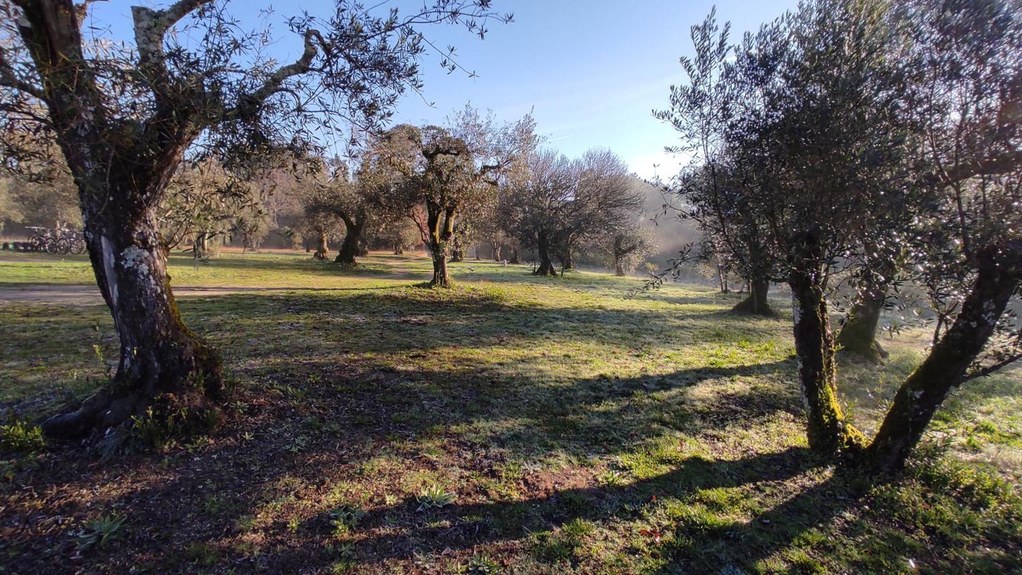 Quinta Da Pedra Mija Guest House Santar Exterior photo