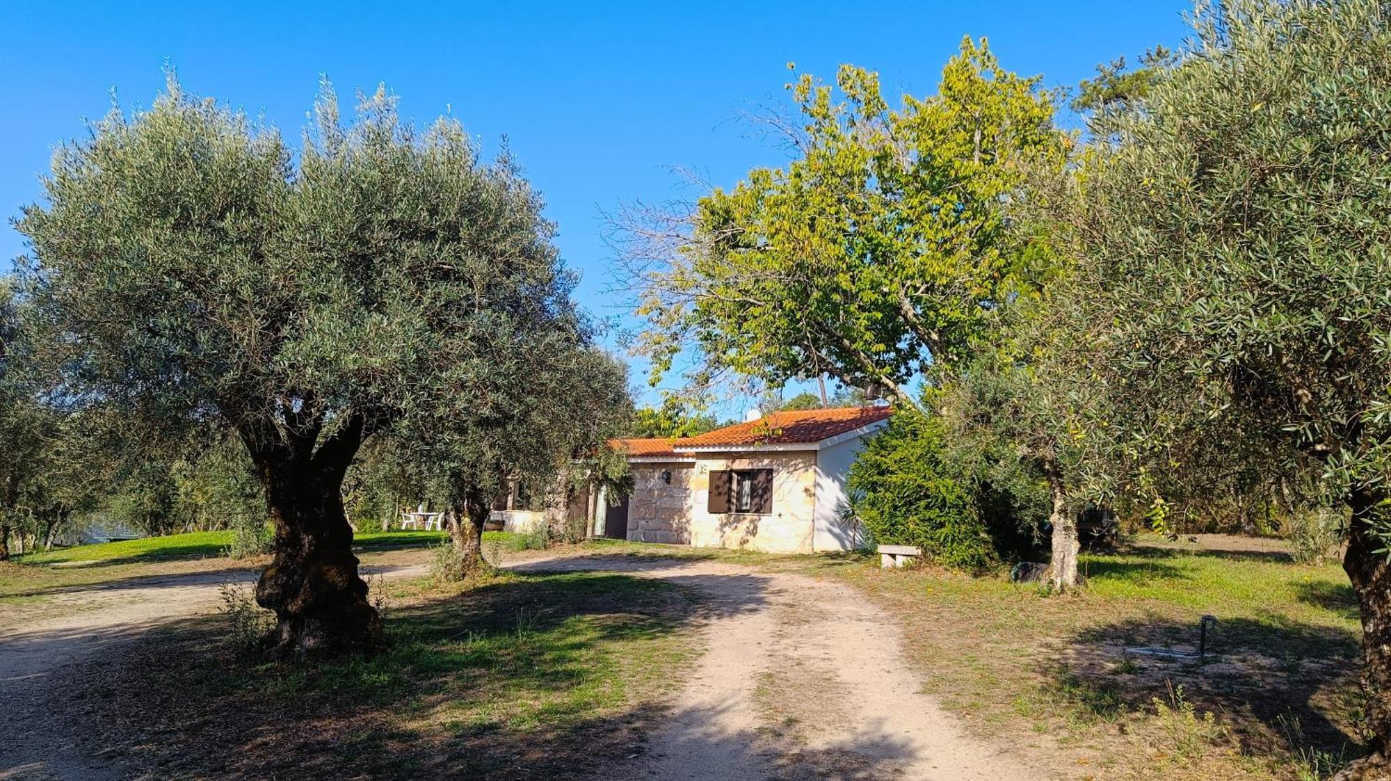 Quinta Da Pedra Mija Guest House Santar Exterior photo