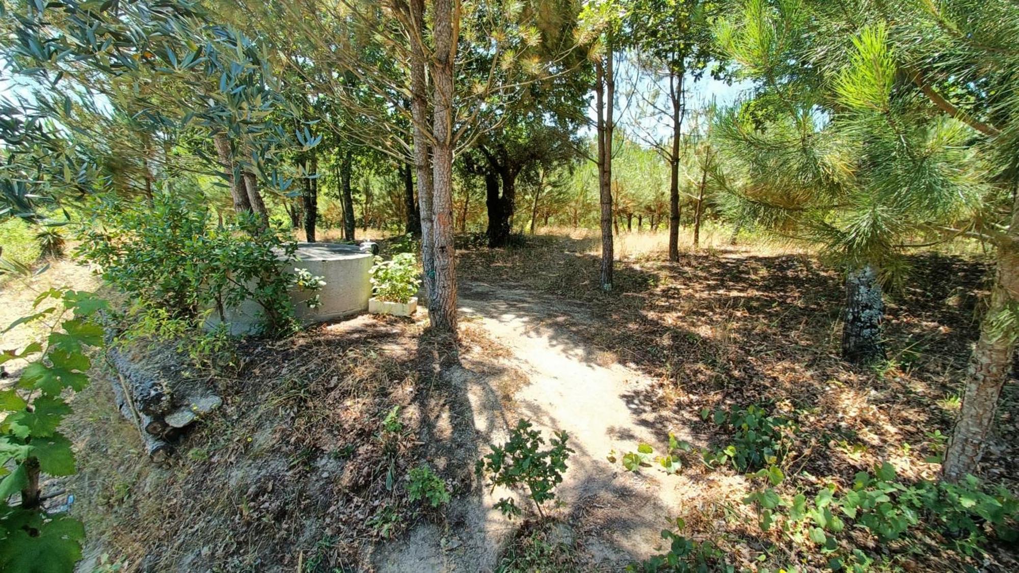 Quinta Da Pedra Mija Guest House Santar Exterior photo