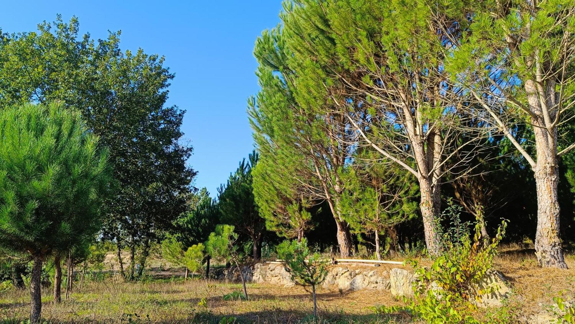 Quinta Da Pedra Mija Guest House Santar Exterior photo