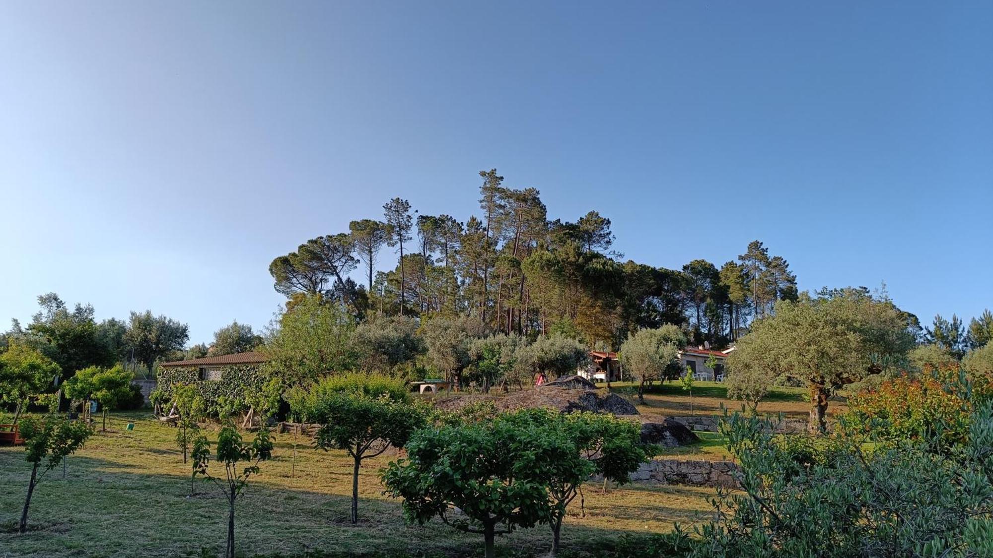 Quinta Da Pedra Mija Guest House Santar Exterior photo