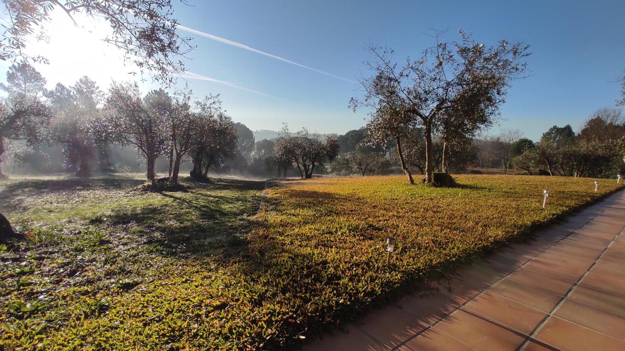 Quinta Da Pedra Mija Guest House Santar Exterior photo