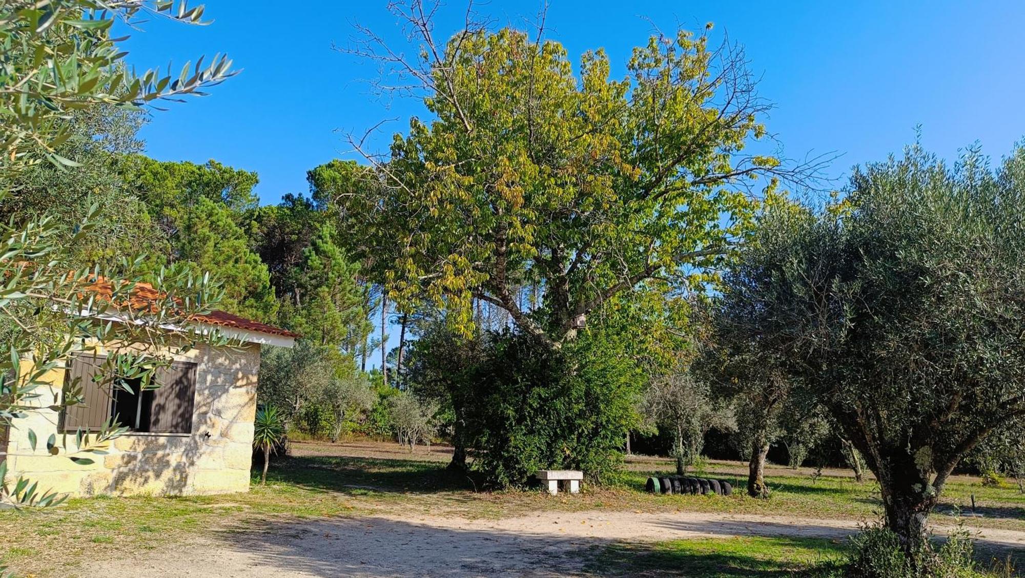 Quinta Da Pedra Mija Guest House Santar Exterior photo