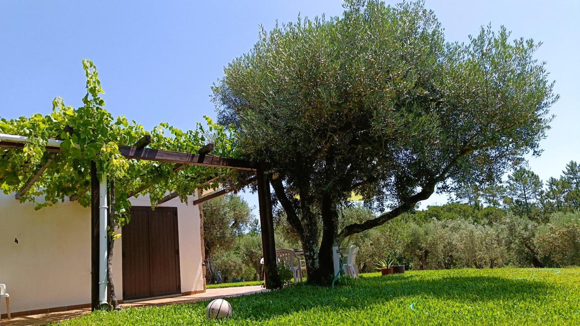 Quinta Da Pedra Mija Guest House Santar Exterior photo