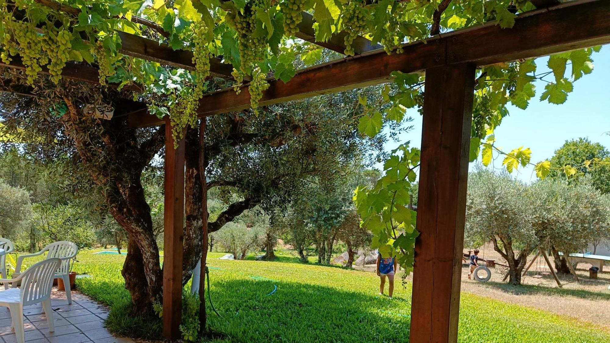 Quinta Da Pedra Mija Guest House Santar Exterior photo