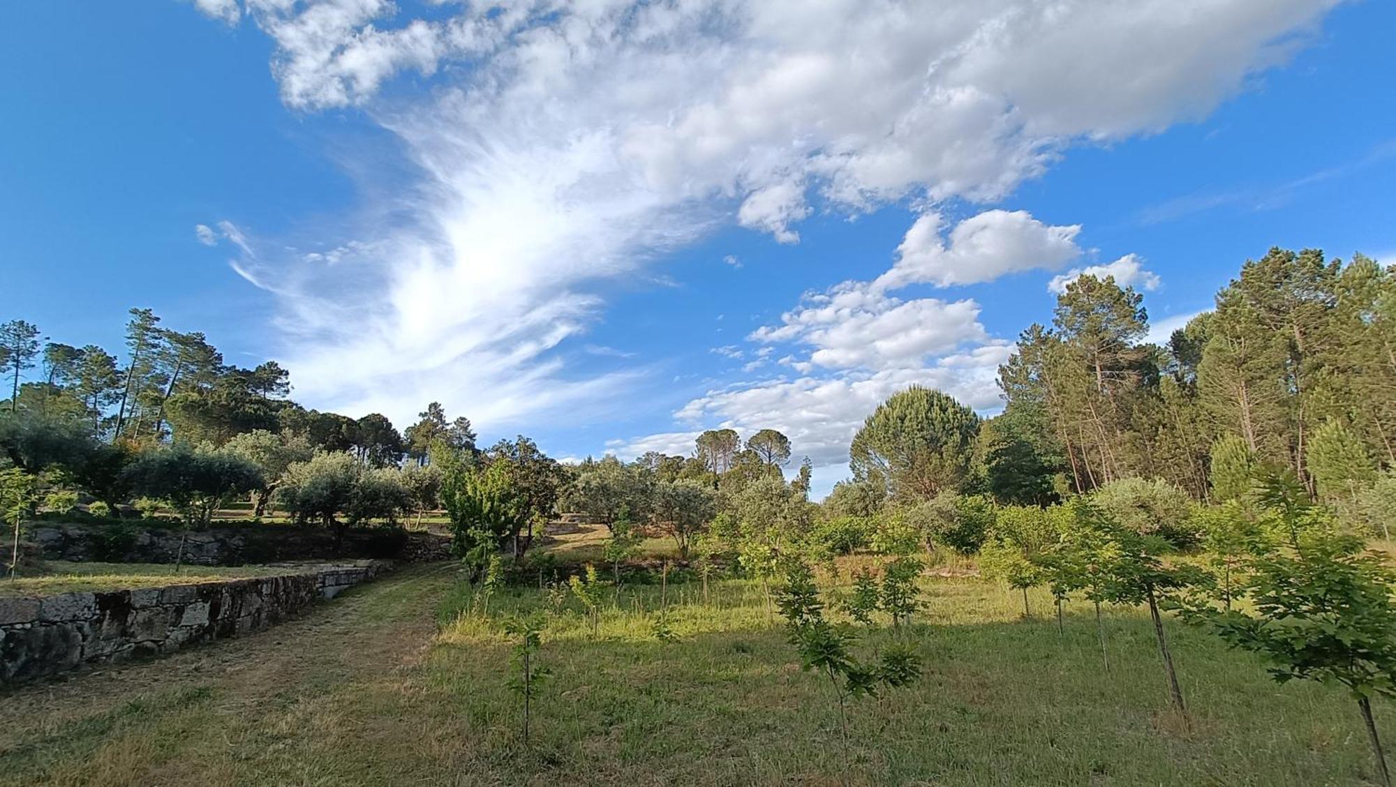 Quinta Da Pedra Mija Guest House Santar Exterior photo