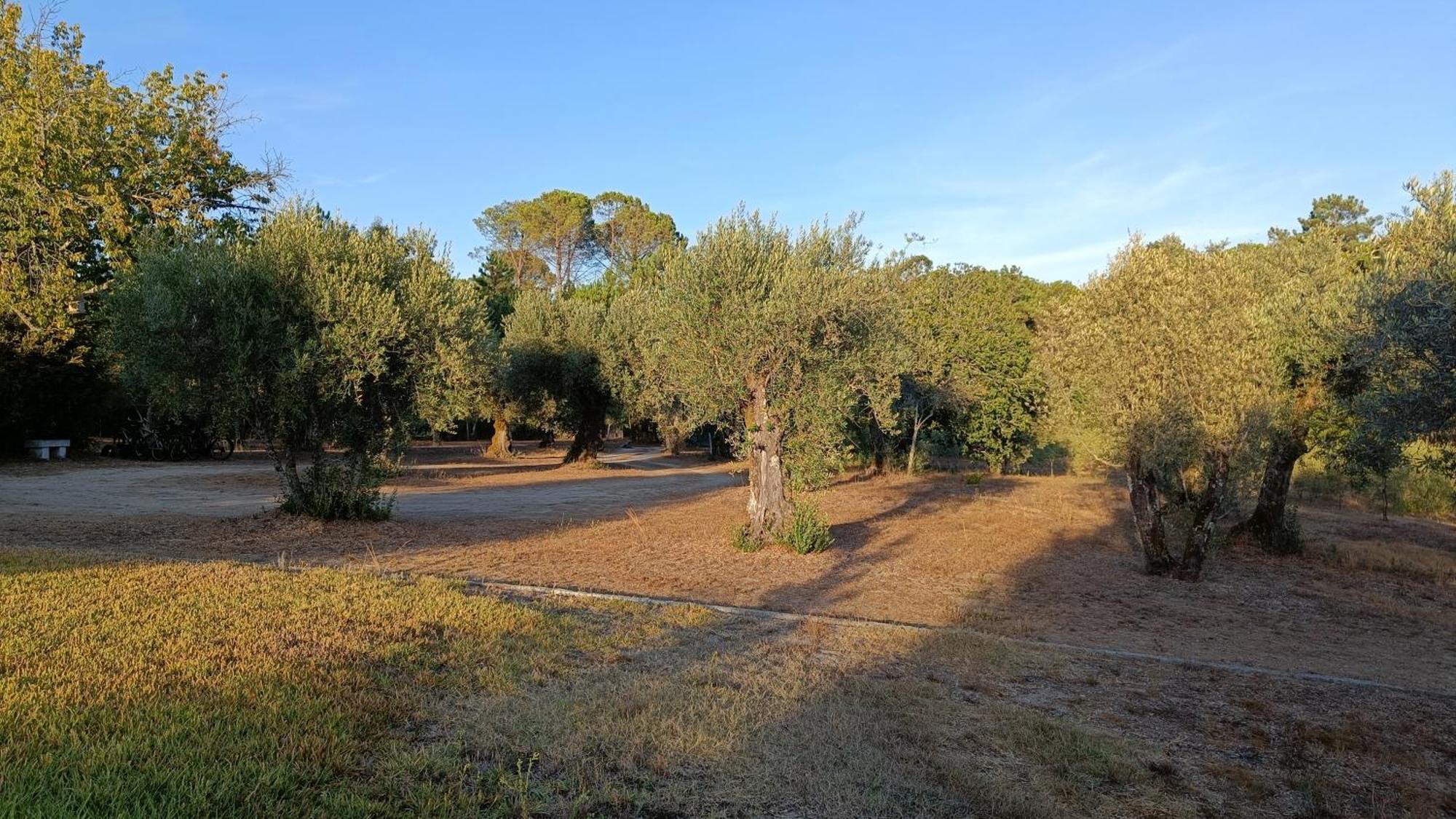 Quinta Da Pedra Mija Guest House Santar Exterior photo