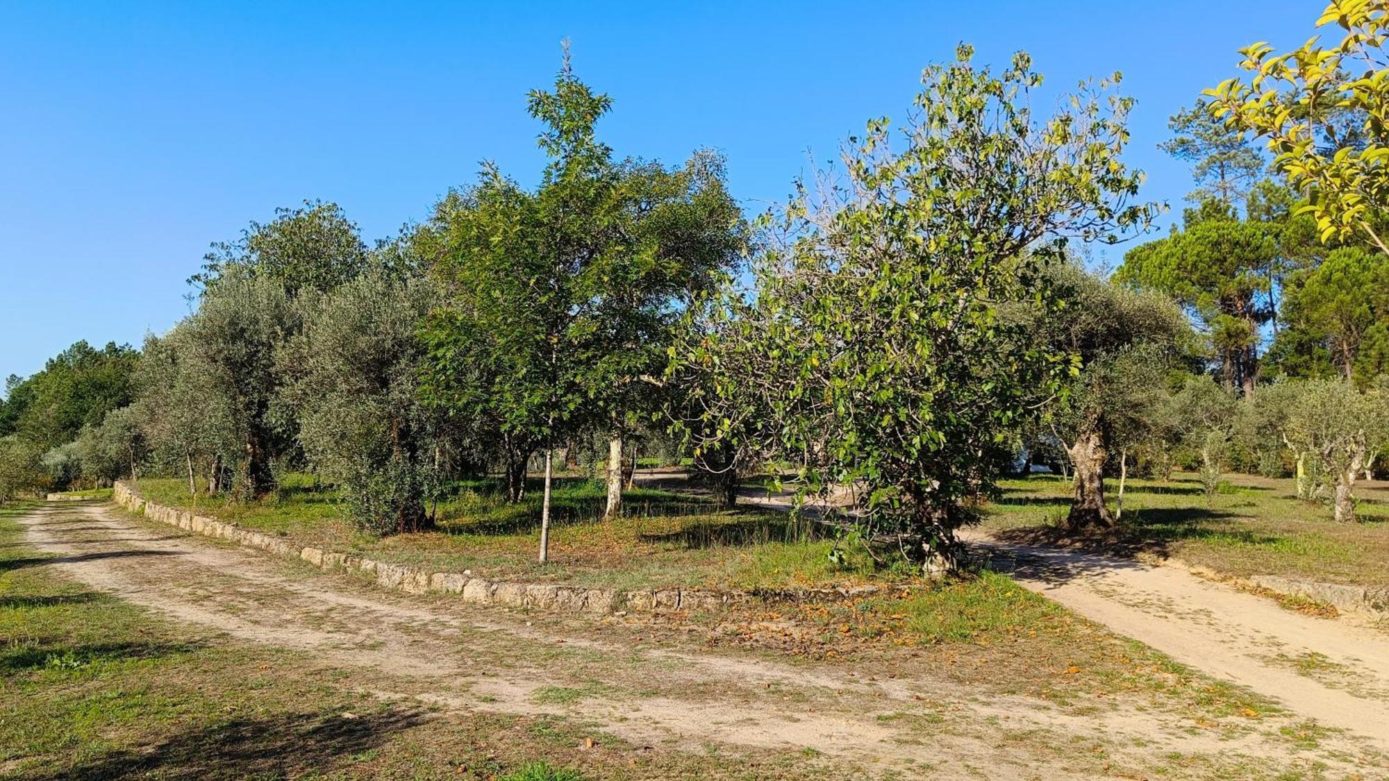 Quinta Da Pedra Mija Guest House Santar Exterior photo