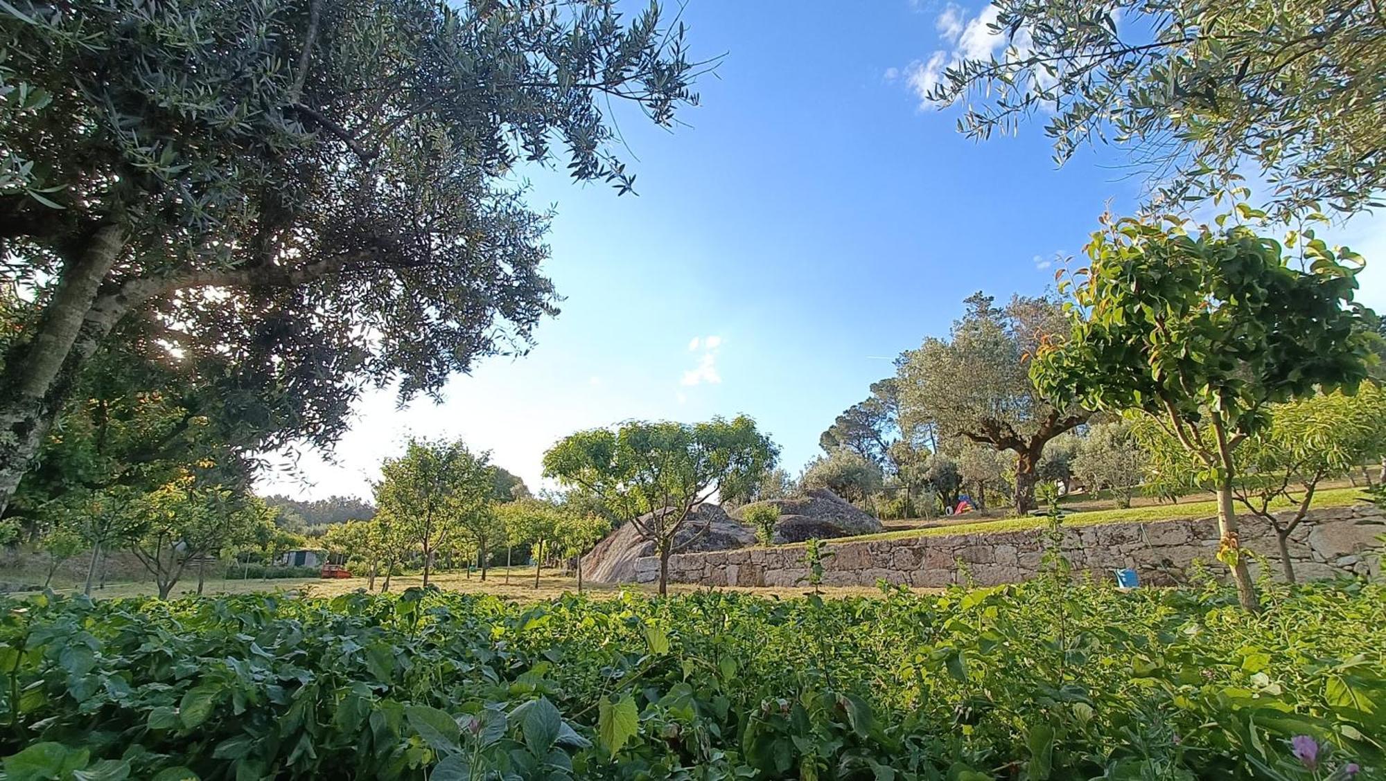 Quinta Da Pedra Mija Guest House Santar Exterior photo